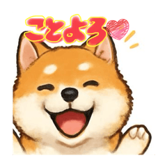 matcha_20260101163921