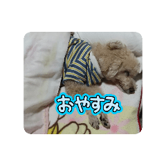 yuka_20260101163827