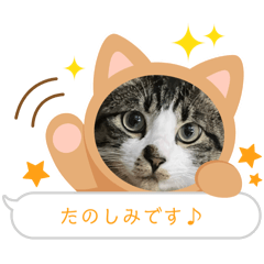 Mahoko_20260101165502