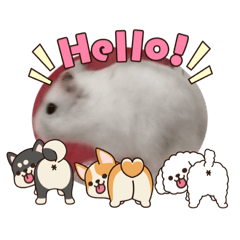 yu-ki_20260101165302