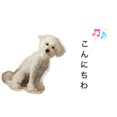 layla_20260101165458