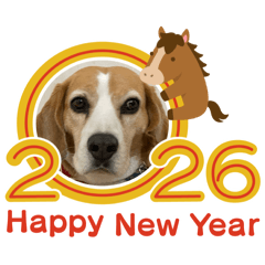 machako_20260101181447