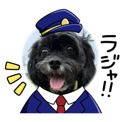 cherry_20260101193807