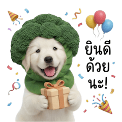 โกลเด้นขาวหัวบรอกโคลี