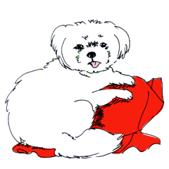 PUINOON