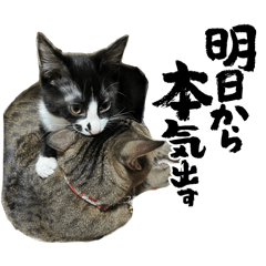 tamago_20260101144858