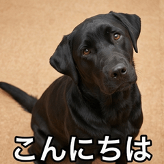 Hime Daily Conversation Stickers1