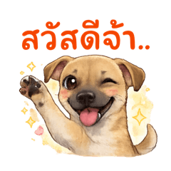 Nickkycung_20260101143729