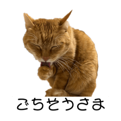 Kaito_20260101174828