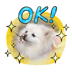 Saori_20260101182922