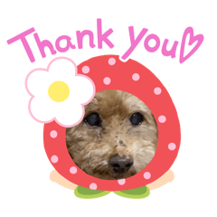 Ayumi_20260101173915