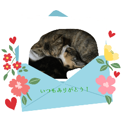 suzu_20260101191419