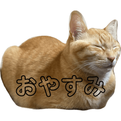 hinahina_20260101215236