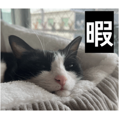 MOMO_20260101215333