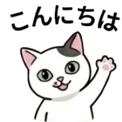 Salmon and Hotate cat stickers