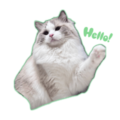 MerryKidmud3