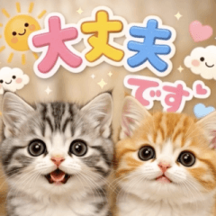 飛び出す♡まいにちにゃんこ