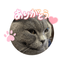 Mochi_20260101185858