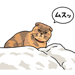 Piichan Reacts! Cat Stickers