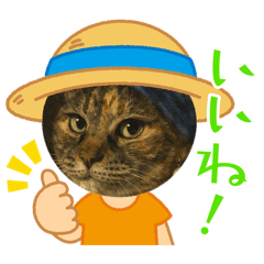 soragocochi_20260101223538