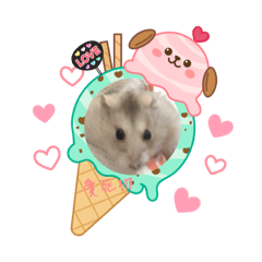 米包（一隻布丁鼠）