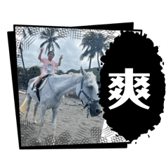 哈囉，哈囉
