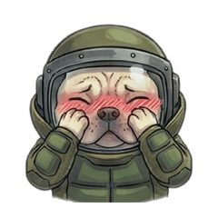 大摳的防爆之路