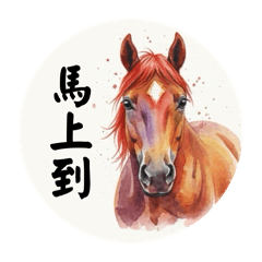 馬上好用-愛馬人士必備