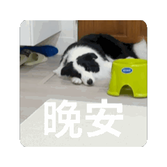 Soka日常（哭搜版）