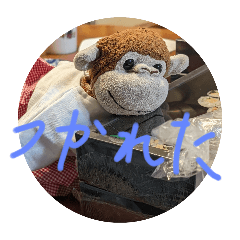 panda_20251231172107