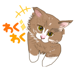 SHIYUMI_20260102013753