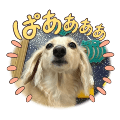 chana_20260102020313