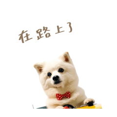 和樂樂一起笑著