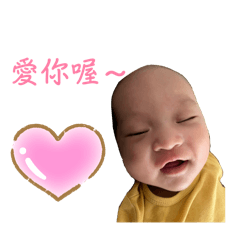 小蛋黃日常❤️