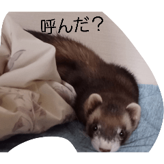 rikuta_20260101231332