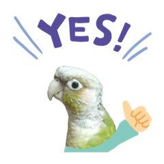 我家胖嘟嘟ㄉ貢丸