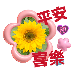ying 日常習慣用語貼圖