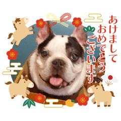 taishin_20260102003034