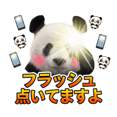 光子のパクり？パンダシリーズ４