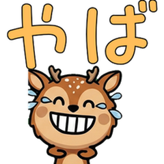 Anim. Overreaction Bambino 4