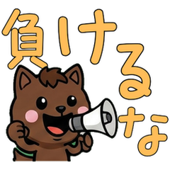 Anim. Overreaction Havana 4 Text