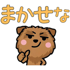 Anim. Overreaction Norfolk 4