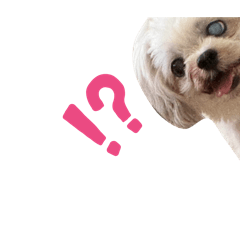 Noungfun_20260102012902