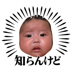 momo_20260102091736