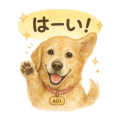 ゴールデンレトリバーの愛犬