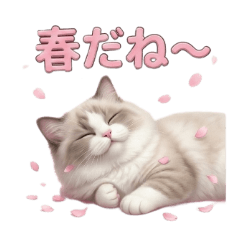 PinoNuts_20260102120616