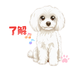 knk15850_20260102102651