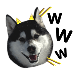 yururamu2