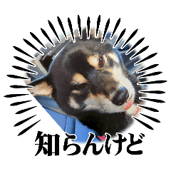 kaochan_20260102130849