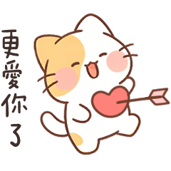 Orange Cute Tabby Cat